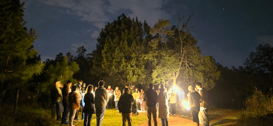 Bosque nocturno